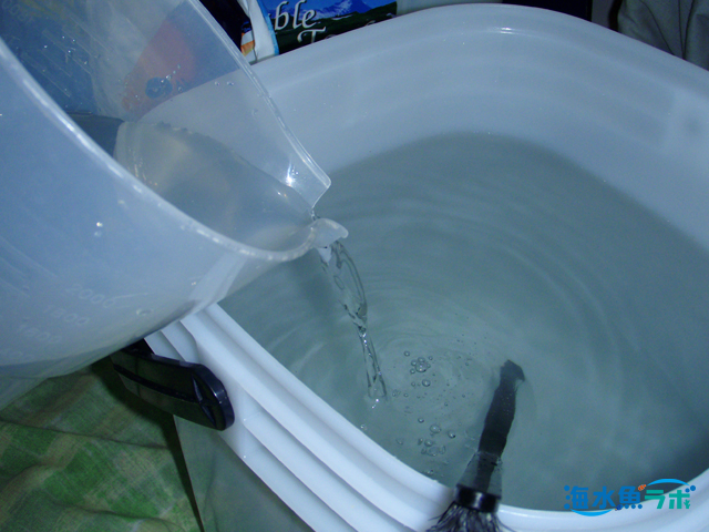 人工海水の作り方 おすすめの人工海水の素と成分比較 海水魚ラボ