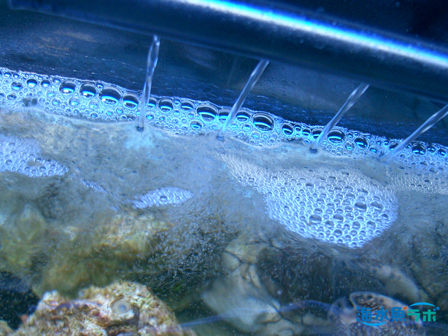 ろ過槽とろ過の理屈 海水魚飼育初心者向け 海水魚ラボ