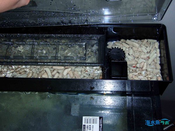 上部ろ過槽でサンゴ砂をろ材として使用している例