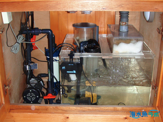 オーバーフロー水槽のサンプ 素材 システム別の選び方 海水魚ラボ