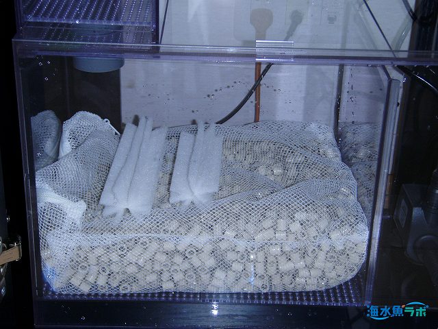 サンプにろ材を詰めた強制ろ過の基本的な例