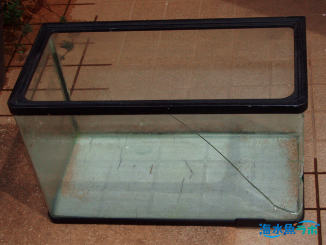 アクリル水槽で海水魚飼育 ガラス水槽と比較したメリットとデメリット 海水魚ラボ
