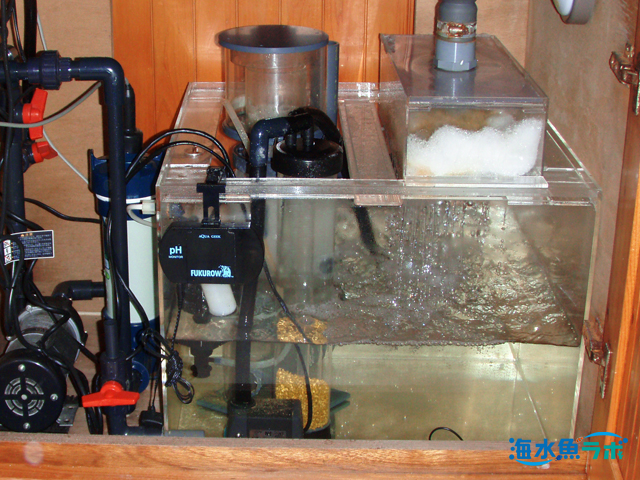 ライフガード QL-15 殺菌灯をレビュー！90cm水槽におすすめの殺菌灯 | 海水魚ラボ