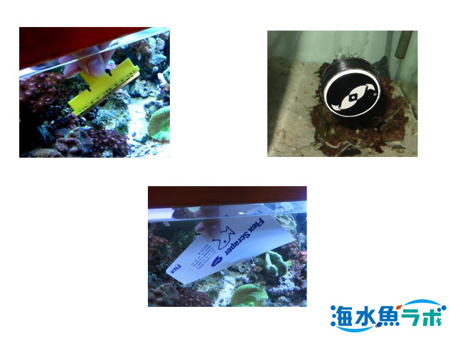 水槽ガラス面のコケ取り用クリーナー 掃除用品のおすすめ3選 海水魚ラボ